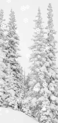 Sky Snow Larch Live Wallpaper