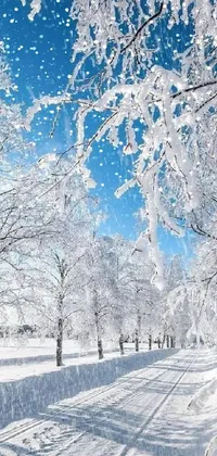 Sky Snow Natural Landscape Live Wallpaper