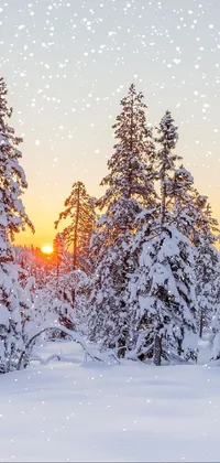 snows Live Wallpaper