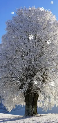 This phone live wallpaper features a serene winter scene of a snow-covered tree