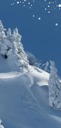 This phone live wallpaper features an exhilarating scene of a snowboarder carving their way down a snow-covered slope, surrounded by spruce trees