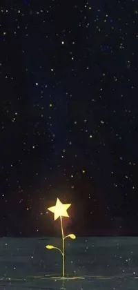 This phone live wallpaper features a mesmerizing digital concept of a small plant floating in a serene body of water set against a starry sky background