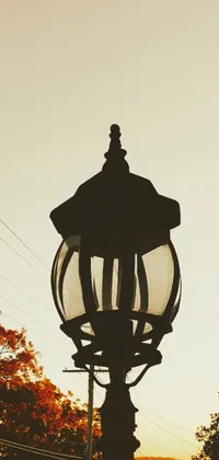 Sky Street Light Lamp Live Wallpaper