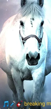 This mobile live wallpaper features a stunning white horse standing gracefully in the center of a lush green field