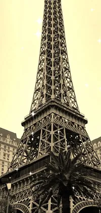 Discover a captivating phone live wallpaper featuring a black and white photograph of the Eiffel Tower, captured in a fine art style