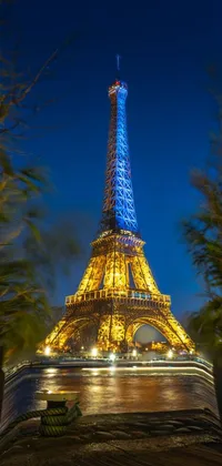 Sky Tower Nature Live Wallpaper