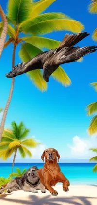 Transform your phone screen into a breathtaking tropical paradise with this realistic live wallpaper