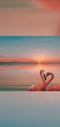 This exquisite live wallpaper features two charming flamingos standing atop a peaceful body of water
