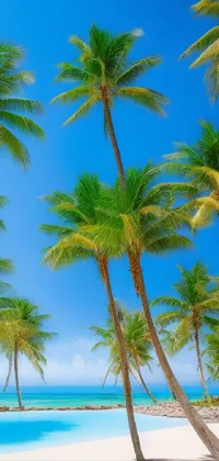Transform your phone into a tropical paradise with this stunning live wallpaper