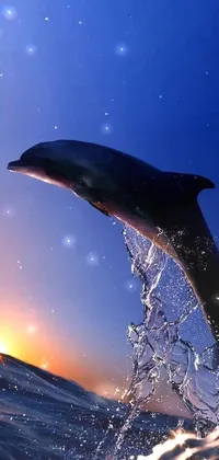 This phone live wallpaper showcases a stunning image of a dolphin jumping out of the water during a beautiful sunset
