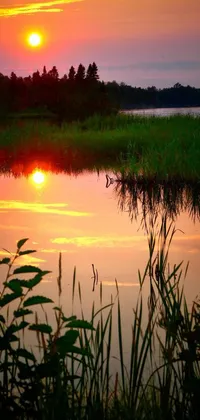 This phone live wallpaper showcases a stunning sunset over a serene body of water, capturing the scenic beauty of nature