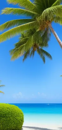This phone live wallpaper depicts a beautiful resort-style beach with two bushes and palm trees