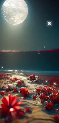 Sky Water Plant Live Wallpaper