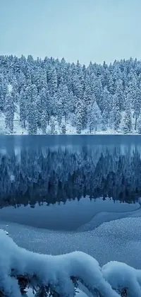 This phone live wallpaper showcases a serene wintry lake scene set within a snow-covered forest