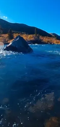 This live wallpaper showcases a dynamic scene of a surfer riding a river on a board in the midst of mid-fall Colorado