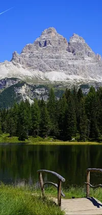 Get lost in nature with this stunning live wallpaper for your phone