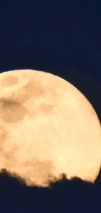 Elevate your phone's screen with this remarkable live wallpaper featuring a plane passing in front of a round-cropped full moon