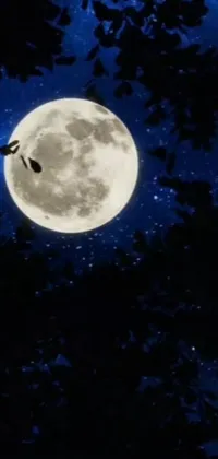 Enjoy the serene feel of nature on your phone with this live wallpaper featuring a majestic bird soaring in front of a full moon