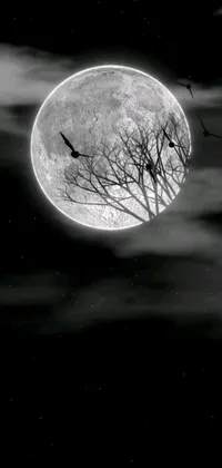 This black and white live phone wallpaper depicts a stunningly detailed full moon in a surreal and moody composition, perfect for autumn nights