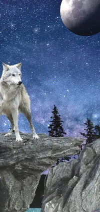 This stunning live phone wallpaper features a wolf howling on a cliff under an enchanting full moon