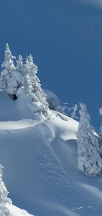 This snow-themed live wallpaper showcases a man skillfully snowboarding down a powder-covered slope amidst immense trees in British Columbia