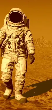 Sleeve Astronaut Cargo Pants Live Wallpaper