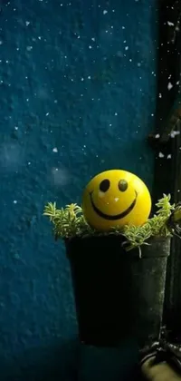 Smile Plant Fruit Live Wallpaper