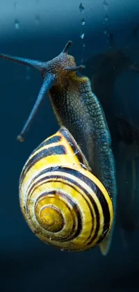 Snail Fluid Liquid Live Wallpaper