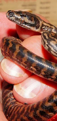 Snake Finger Reptile Live Wallpaper