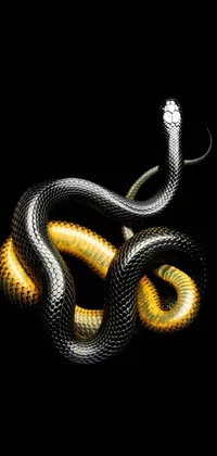 This striking live wallpaper for phones features a close-up of a silver and yellow cobra snake, against a dramatic black background