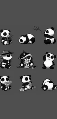 This live phone wallpaper features a charming group of panda bears in various art styles, such as chibi and sketch