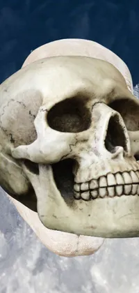 Looking for a unique phone live wallpaper? Check out this close-up skull mounted on a surfboard