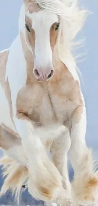 This live wallpaper features a brown and white horse with blond fur and glistening muscles, running in the snow with a close-up view