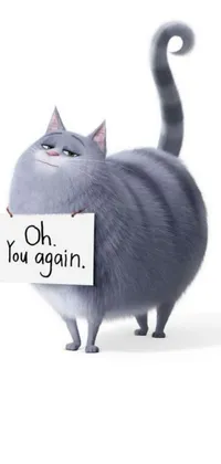 This live phone wallpaper showcases an adorable cat holding a sign that reads popular internet catchphrases like "oh you gain," "happening, again and again," and "is this loss?" in clear bold text