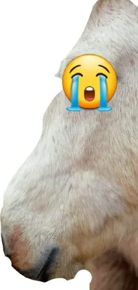 This live phone wallpaper features a close-up shot of a crying goat with transparent background, in a hilarious twist highlighting the goat's oversized hindquarters and equine features