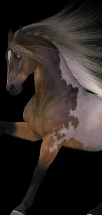 Snout Horse Neck Live Wallpaper