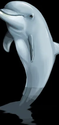 Snout Liquid Dolphin Live Wallpaper