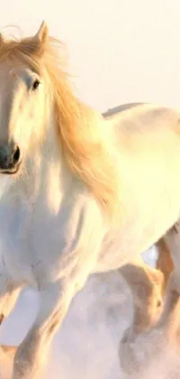 This phone live wallpaper depicts a beautiful white horse running through the snow