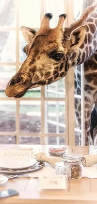 Transform your phone screen with this stunning live wallpaper featuring a giraffe standing next to a table in a luxurious environment