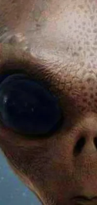 This phone live wallpaper features a close-up of an alien face with blue eyes standing out against a dark, starry background