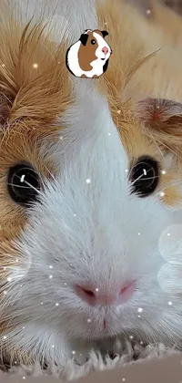 Snout Whiskers Natural Material Live Wallpaper