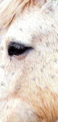 This live wallpaper features a striking close-up of a white horse's face that will captivate your senses