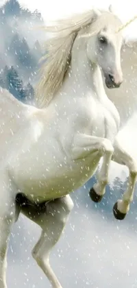 This phone live wallpaper showcases a stunning white horse with wings standing in a snowy landscape