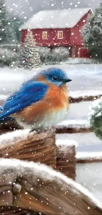 Snow Bird Nature Live Wallpaper