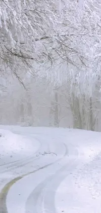 This stunning live wallpaper features a snowboarder riding down a snow-covered forest road in a romantic scene