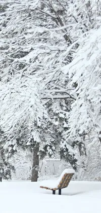 Snow Branch Winter Live Wallpaper