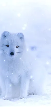 This phone live wallpaper showcases a serene winter landscape with a majestic white fox sitting in the snow, glowing in blue projection