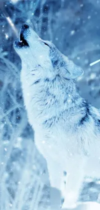 Snowy Wolf Live Wallpaper