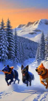 Snow Dog Sky Live Wallpaper