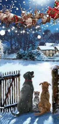 Snow Dog Vertebrate Live Wallpaper